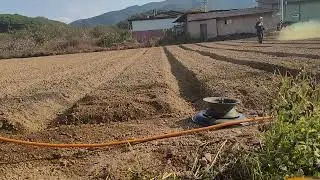 [GoInDol] November 05, 2025 - Spraying Weed Germination Inhibitors