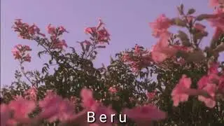 Babi - game ova ~lyric~