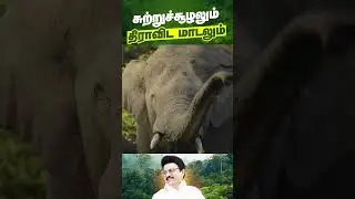 CM MK Stalin launches new schemes | World Environment day | Tamilnadu Govt | DMK