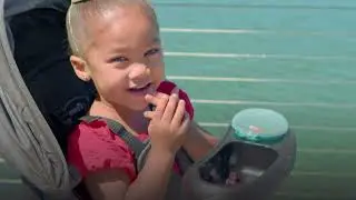 Pivot Xpand Modular Travel System with LiteMax Infant Car Seat