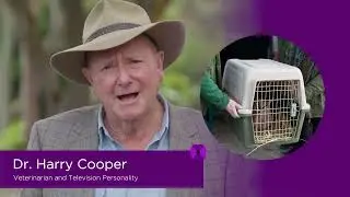 Dr Harry Cooper | Urkaine Animal Appeal | #HelpUkraineAnimals