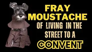 Friar Moustache, the stray dog who became a Franciscan monk  #MillionairePets