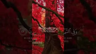 Wait For &ldquo;9&rdquo; Seconds&hellip; You won&rsquo;t Regret This! 🤍 #quran #shorts #islam