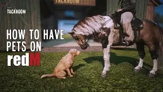 Руководство по игре RedM Equestrian & Pets: Освойте скрипт для питомцев на сервере The Tackroom!