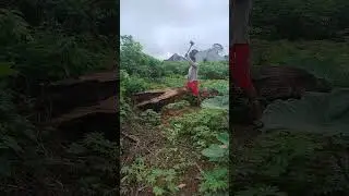 My Life in Africa #woodworking #farming