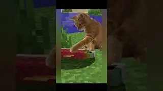 cat in Minecraft #minecraft #animation #minecraft #cat#fishing #memes #mem#funny