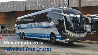 Movimiento en Terminal Tres Cruces #1