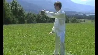 Tai Chi Chuan ( Taiji)  Traditioneller Yang Stil - 108er Langform  1. Teil