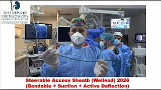 Prof. Petrisor Geavlete - Steerable Access Sheath (Wellead 2026), 10/12 Ch., 12/14 Fr.