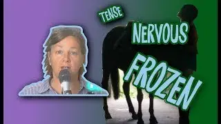 Tips for Nervous Horse Riders - Overcome Your Horse Riding Fear