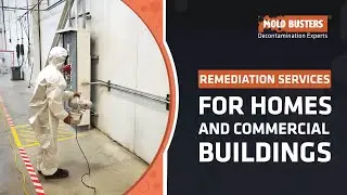Remediation Services for Homes and Commercial Buildings in Ontario and Quebec - Mold Busters