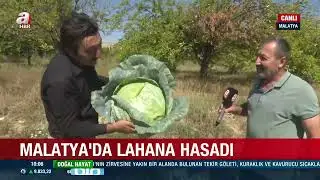 18 Ocak 2026