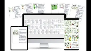 Canva Infographics: Herbs starter kit done for you infographics and captions