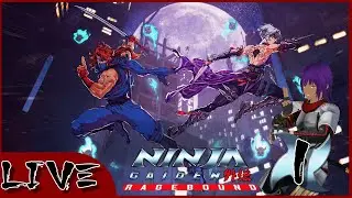 Ninja Gaiden Ragebound Stream 1: Thank god there are no birds.....