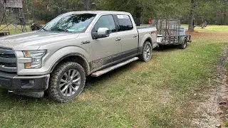 New Trap Job / Baiting trap # 2