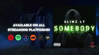 SlimzLT - Somebody (Audio)