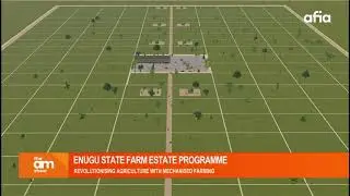 Revolutionizing Agriculture in Enugu State: Engr. Mike Ogbuekwe Shares Insights about Farm Estate