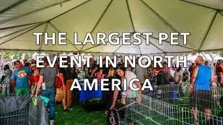 Bay Area Pet Fair 2017 - 2018