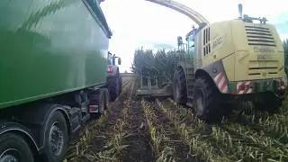 🌽Kukurydza na BGA🌽 KRONE BIG X 600🌽