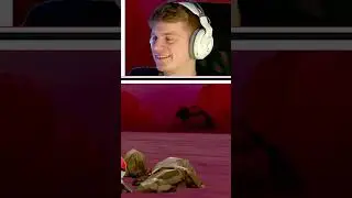 Shiny Galar Smogmog  #pokemon #gaming #shinyhunting #shiny #shinypokemon #streamhighlights #reaction