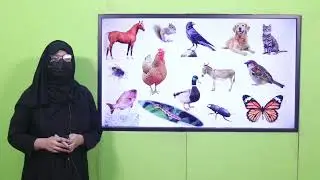 Science 5 Chapter 1 Lecture 1 || SNC 2020 ||