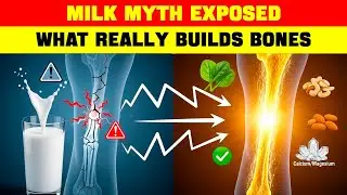 The Myth of Dairy: Why Milk Isn&rsquo;t Enough for Strong Bones