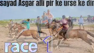 ढीचडा घोड़ा रेस # सैयद्द असगर अली (पीरर)🌹ke  (urse) ke din .. race (1).  25/09/2022