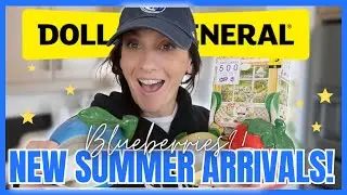 *CUTE* DOLLAR GENERAL HAUL | A great SUMMER 2024 Release | Strawberries, Blueberries and Lemons!