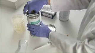 INTERNATIONAL PBI - EZ ACCU SHOT