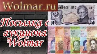 Посылка с аукциона Wolmar