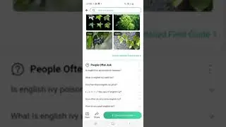 Best App For Identifying Plants