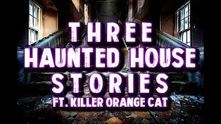 3 True Scary Haunted House Stories Vol. II (ft. Killer Orange Cat)