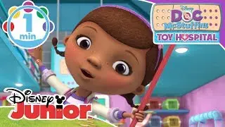 Doc McStuffins | Song - We're The Pet Rescue Team! | Disney Kids