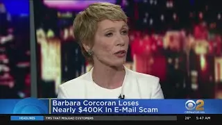 Barbara Corcoran Victim Of Phishing Scam