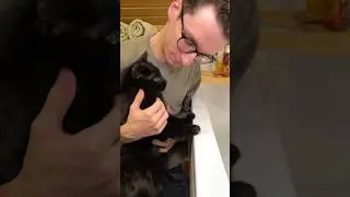 Бенчик теперь такой чистенький! 🐈&zwj;⬛ #симбочкапимпочка #бенчик #симба