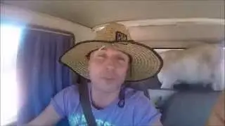Gary the goat goes through the Gibson Desert.