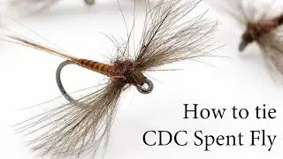 Tying a CDC Spent Red Quill