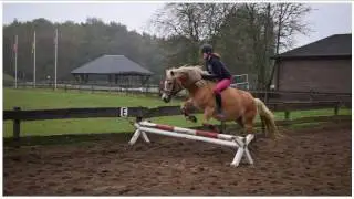 Herbst 2016 Pony Park Padenstedt