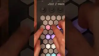 Exquis - Free 4x4 MPE drum kits preview