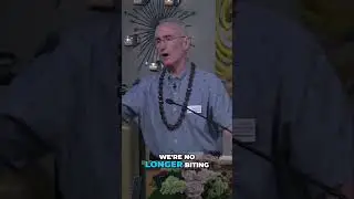 Find Love & Compassion: Unleash Your Inner Peace Now!