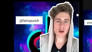 Falco tiktok compilation| @falcopunch
