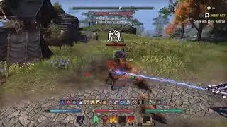 Eso one bar dk pvp