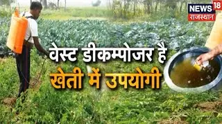 Annadata | जैविक खेती के लिए वरदान Waste Decomposer, जानिए डीकंपोजर संवर्धन घोल कैसे तैयार करें ?