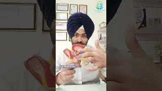 Urine vs Semen: Why They Never Come Out Together | Human Biology Facts । Dr Varinder Virdi