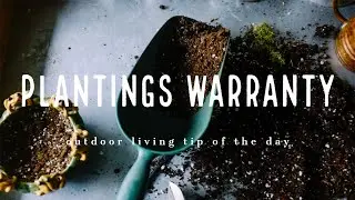 Plantings Warranty - Outdoor Living Tip of the Day