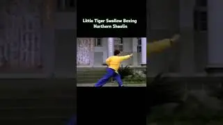 Northern Shaolin Little Tiger Swallow Mantis Boxing #kungfu #martialarts #kungfushaolin