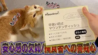 生後9ヶ月の食欲お化けのためにとある対策を試みたら効果抜群でした！