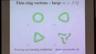 Prof. Mikhail Volkov | Vortons and their stability
