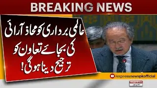 Global Community Must Prioritize Cooperation Over Confrontation | Expert Statement | Pakistan News
