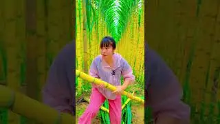 Enjoy the crisp and sweet taste of golden sugar cane🍊🍋🥭🍎 #nature  #satisfying #sugarcane #fruit